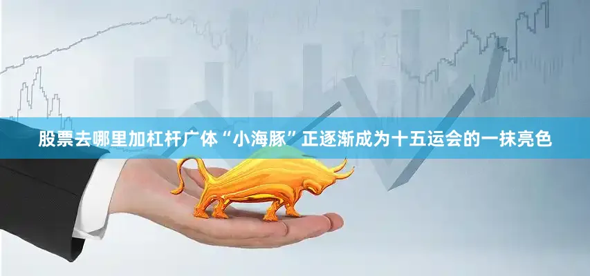 股票去哪里加杠杆广体“小海豚”正逐渐成为十五运会的一抹亮色