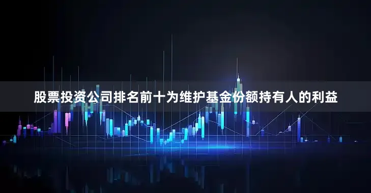 股票投资公司排名前十为维护基金份额持有人的利益