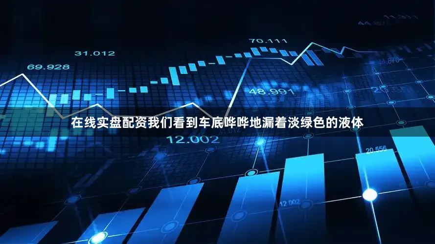 在线实盘配资我们看到车底哗哗地漏着淡绿色的液体