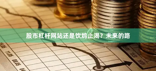 股市杠杆网站还是饮鸩止渴？未来的路