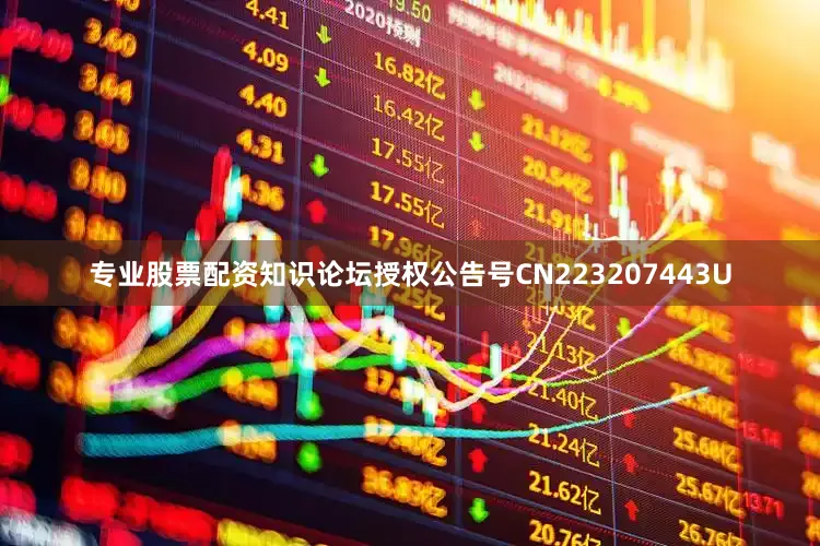 专业股票配资知识论坛授权公告号CN223207443U