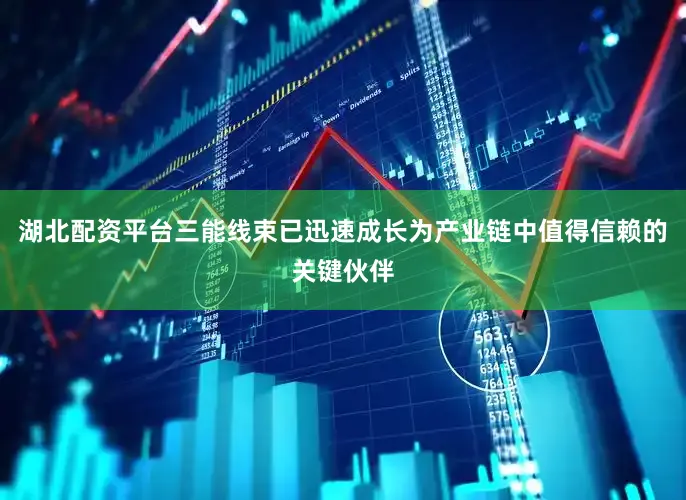 湖北配资平台三能线束已迅速成长为产业链中值得信赖的关键伙伴