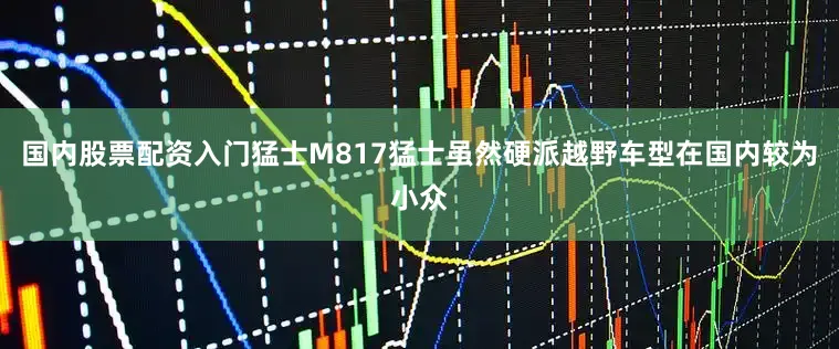 国内股票配资入门猛士M817猛士虽然硬派越野车型在国内较为小众