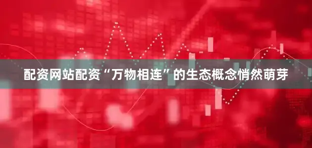 配资网站配资“万物相连”的生态概念悄然萌芽