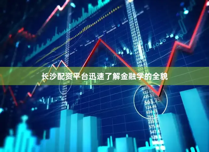长沙配资平台迅速了解金融学的全貌